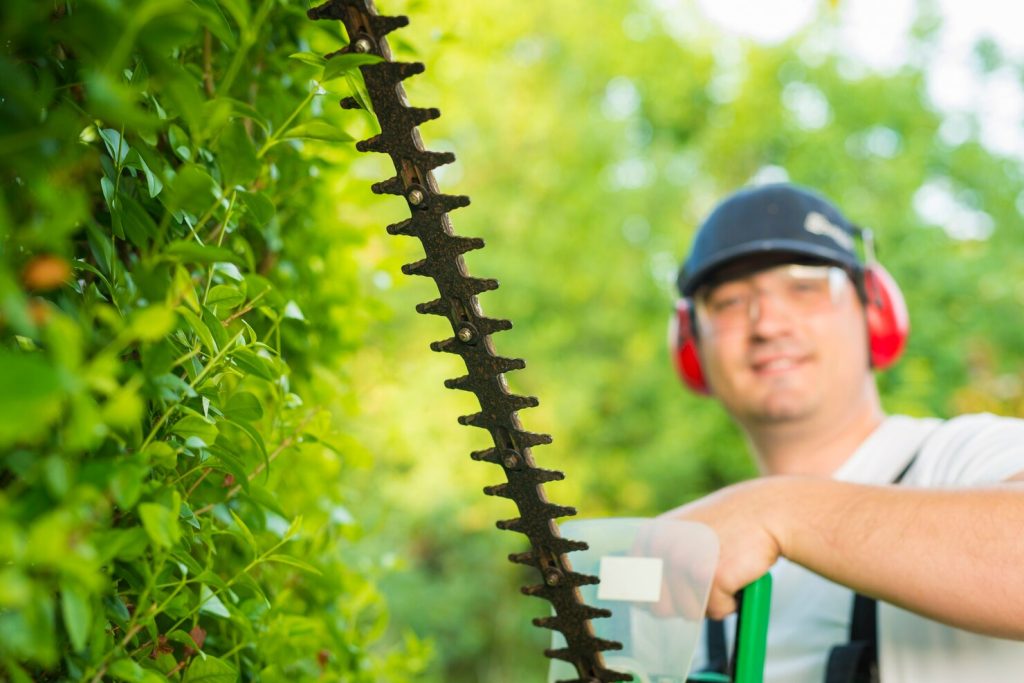 portrait professional gardener